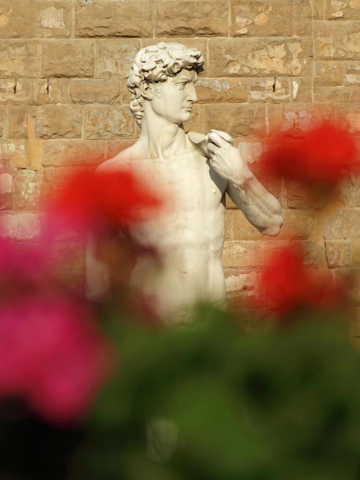 Dalu Florence Apartment Davide - Private Car Park 15 Minutes To The City Center Екстер'єр фото