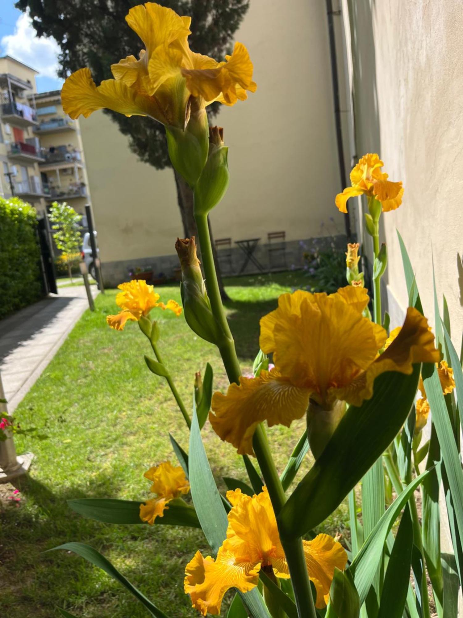 Dalu Florence Apartment Davide - Private Car Park 15 Minutes To The City Center Екстер'єр фото